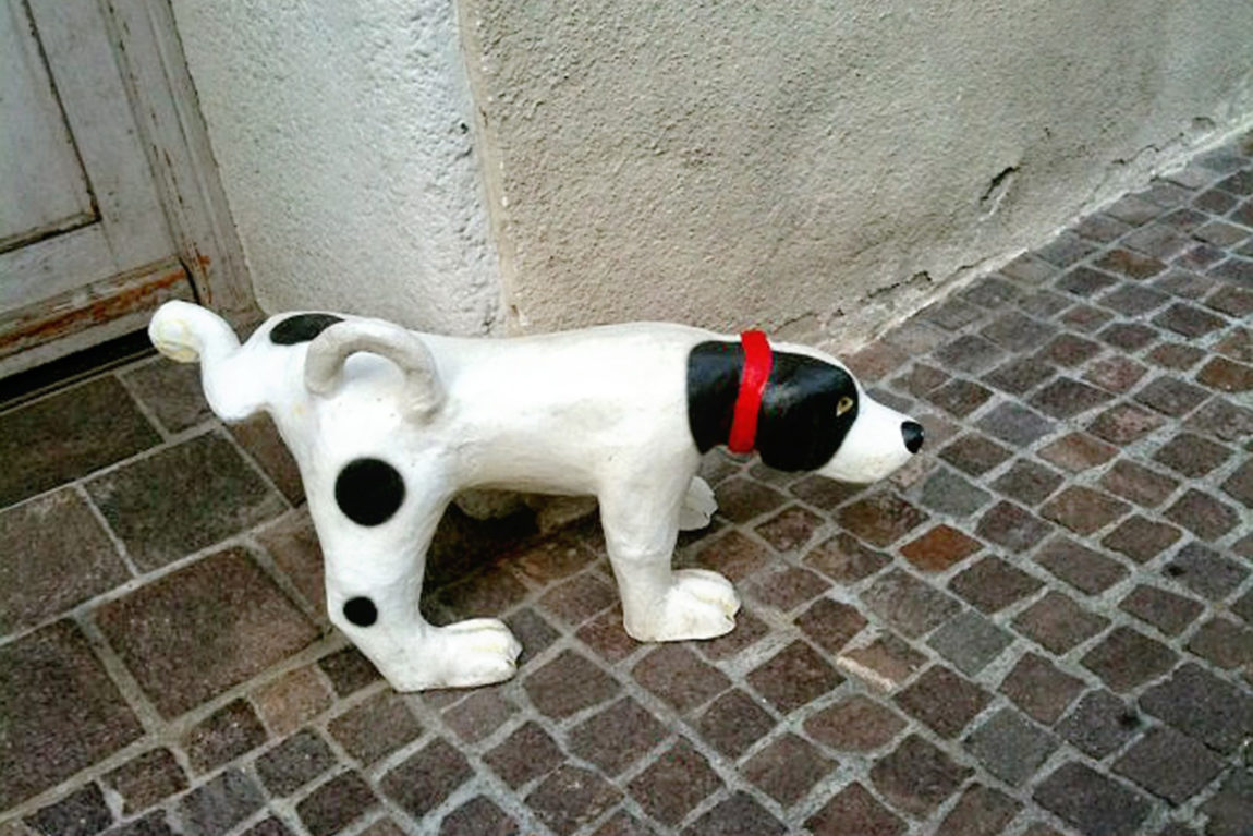 white-dog-pet-mammal-sculpture-art-1347158-pxhere.com_.jpg